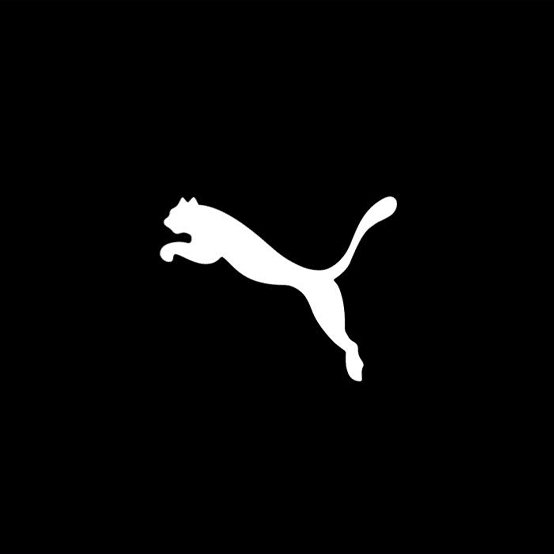 Puma Projesi